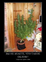 112318_vyi-ne-znaete-chto-takoe-oblom_demotivators_to.jpg