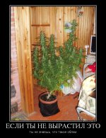 539683_esli-tyi-ne-vyirastil-eto_demotivators_to.jpg