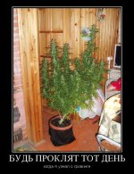 726570_bud-proklyat-tot-den_demotivators_to.jpg