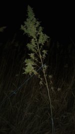 20181029_225733.jpg
