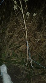 20181029_225744.jpg