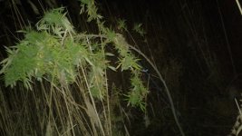 20181029_225844.jpg