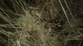 20181029_230515.jpg