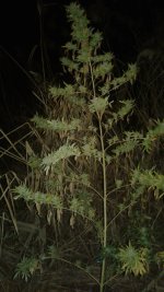 20181030_001506.jpg