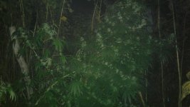 20181030_231247.jpg