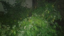 20181030_231409.jpg