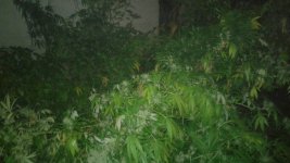 20181030_231413.jpg