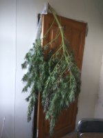IMG_20180930_113359.jpg