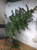 IMG_20180930_113335.jpg
