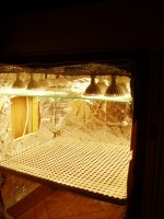 Бокс свет.jpg