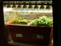 5a874c5e3de08 089.JPG.ec8f86340c4498fc75b4af259fcea897.jpg