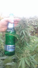 20181030_153419.jpg
