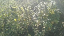 20181005_083540.jpg