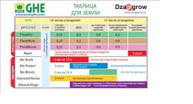 GHE землч.jpeg