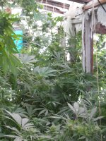 DSCN6270.JPG