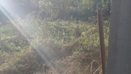 20181005_083338.jpg