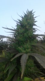 20181019_165837.jpg