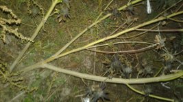 20181030_191358.jpg
