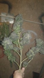 20181030_230417.jpg