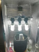 IMG_20181029_183311.jpg