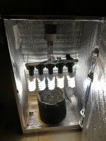 IMG_20181103_214506.jpg