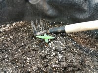 IMG_20181104_080820.jpg