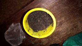 WP_20181104_12_58_22_Pro_LI.jpg