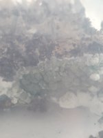 20181105_100757.jpg