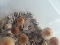 20181105_100744.jpg