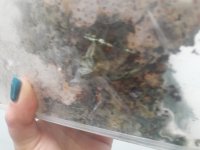 20181105_100729.jpg