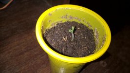 WP_20181105_17_25_01_Pro_LI.jpg