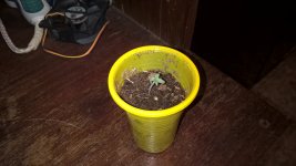 WP_20181106_10_56_43_Pro_LI.jpg