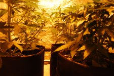 DSC_0428 - копия.JPG