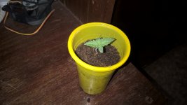 WP_20181108_11_07_39_Pro_LI.jpg