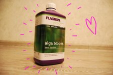 DSC_0453 - копия.JPG