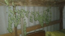 20181107_132641.jpg