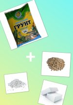 CollageMaker_20181113_122921456.jpg