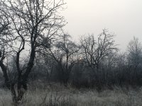 3BB4DC2D-5570-4AFB-8531-E962A30176FF.jpeg