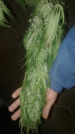 20181109_164837.jpg