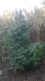 20181106_145624.jpg