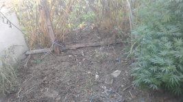 20181106_145638.jpg
