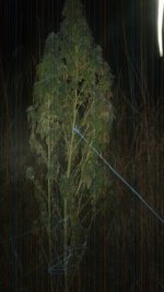 20181109_232041.jpg