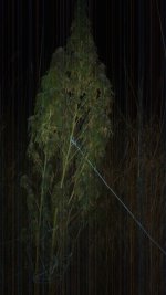 20181109_232047.jpg