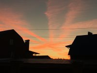303F9B44-38C7-4C51-BC6A-28DA2C8D6803.jpeg
