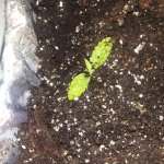 20181108_231414.jpg