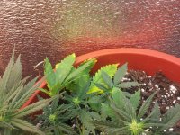 photo_2018-11-14_15-37-18 (2).jpg