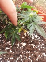 photo_2018-11-14_15-37-18 (3).jpg