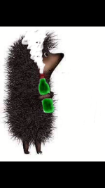 IMG_9702.PNG