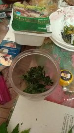 IMG_20181108_225103_401.jpg