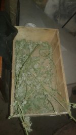 20181114_234818.jpg